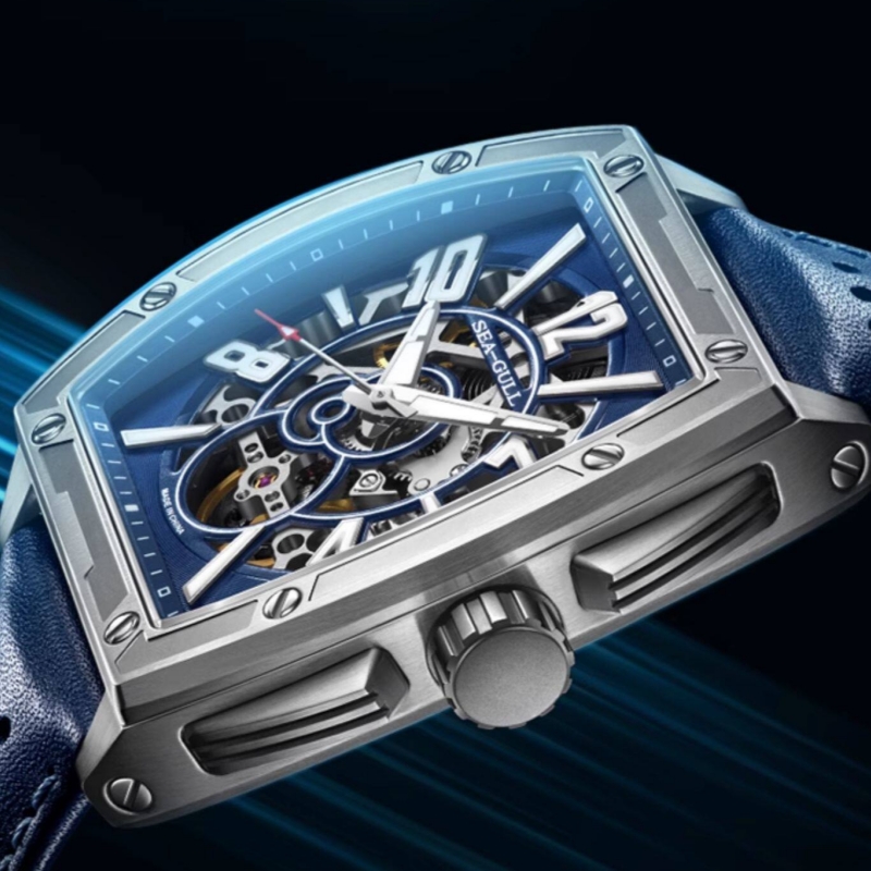 Seagull Herrenuhren 42mm Autom – Luxury Watch Protection Film Bewertung und Preis